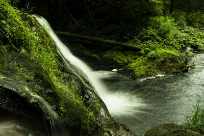 Scenic view of waterfall in forest