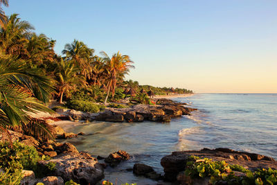 Scenic view of sea against clear sky