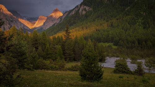 Scenic view of trees and mountains against sky