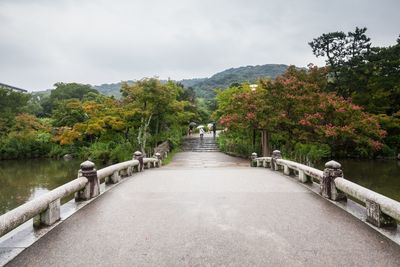 Scenic view of trees and plants against sky