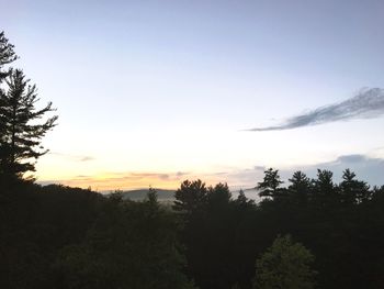 Silhouette trees in forest against sky at sunset