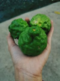 Close-up of hand holding fruit