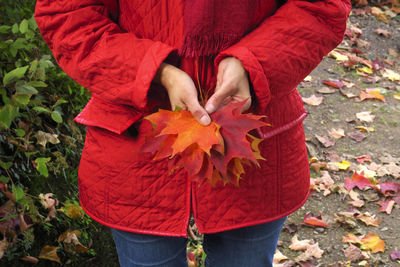Low section of person standing on red autumn leaves