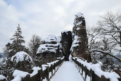 Snow covered plants and rocks against sky