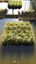 Scenic view of lake