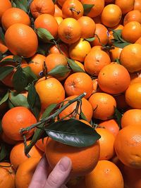 Full frame shot of oranges in market