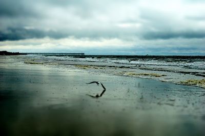 Scenic view of sea against cloudy sky