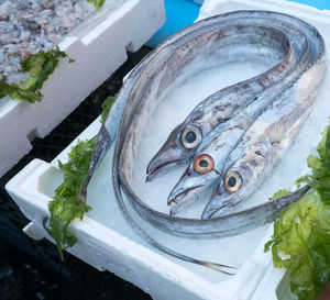 High angle view of fish with ice on polystyrene box at market stall