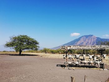 The park is a rough circle with the extinct volcano baluran at its centre