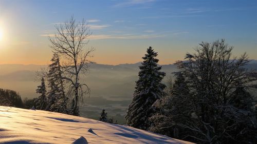 Bare trees on landscape against sky during winter