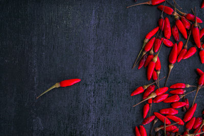 High angle view of red chili pepper on dry leaf