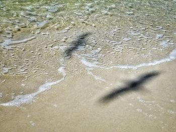 Close-up of sand on beach