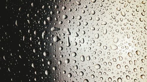 Close-up of water drops on window