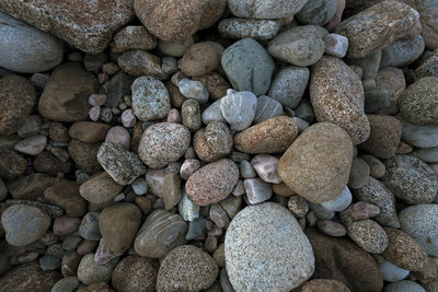 High angle view of pebbles