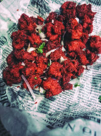 High angle view of red berries on plant