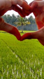 Cropped image of man standing on grassy field