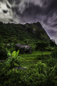 Scenic view of green landscape against sky