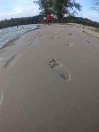 People on beach against sky