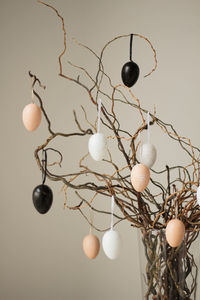 Low angle view of christmas tree against sky