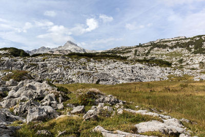 Schönfeldspitze mountain at steinernes meer, mountain landscape in bavaria, germany in autumn