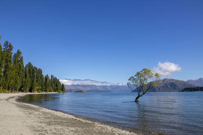 body of water