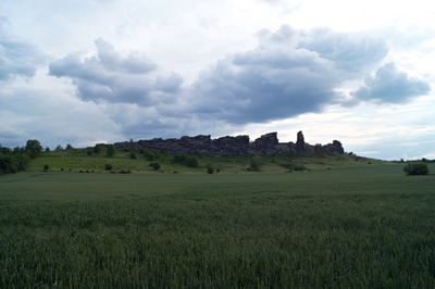 Scenic view of field against sky