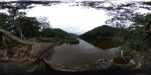 Scenic view of lake in forest against sky