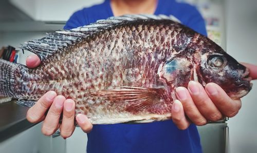 Close-up of hand holding fish