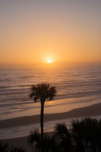 Scenic view of sea during sunset