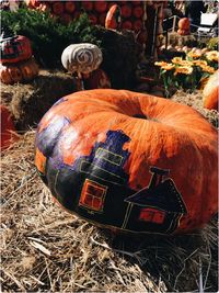 Close-up of pumpkin on field