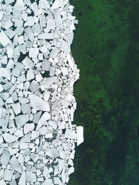 High angle view of white wall and trees