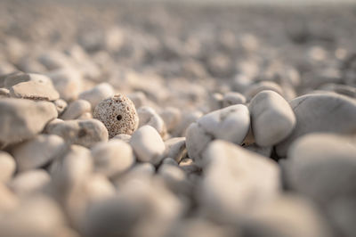 Close-up of stones on beach