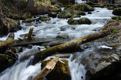 Scenic view of waterfall in forest