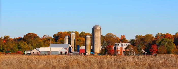 Panoramic view of agricultural field against clear blue sky