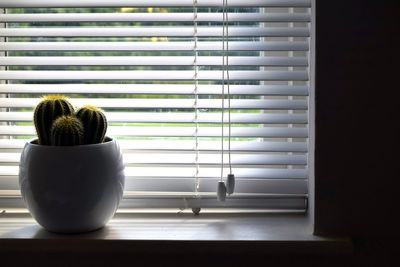 Close-up of window on table
