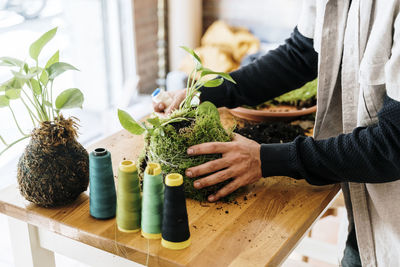 Midsection of woman holding potted plant on table