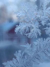 cold temperature