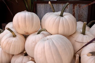 High angle view of pumpkins for sale in market