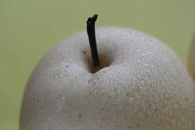 Close-up of pear on white background