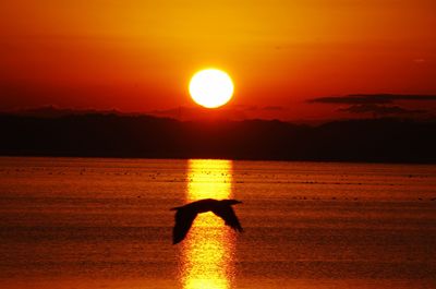 Silhouette person on sea against orange sky