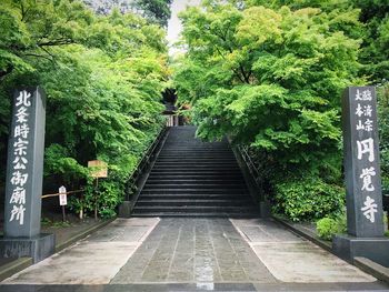Walkway amidst plants and trees