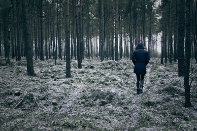 Rear view of people standing in forest