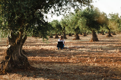 Woman using laptop while sitting at olive orchard