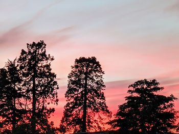 Low angle view of silhouette tree against sky during sunset