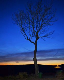 Silhouette bare trees on landscape against blue sky