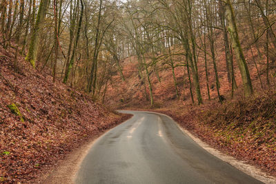 Road amidst trees in forest