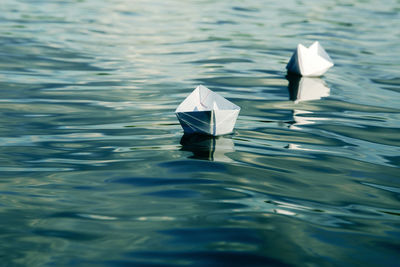 High angle view of bird swimming in sea