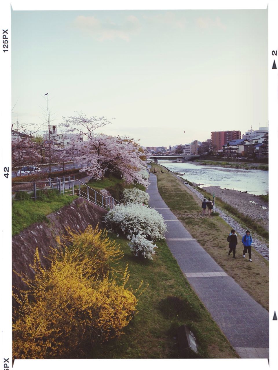 transfer print, water, building exterior, architecture, built structure, auto post production filter, sky, city, sea, river, large group of people, incidental people, beach, lifestyles, grass, nature, outdoors, day, tree