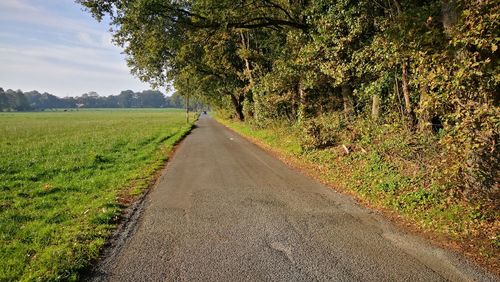 Road amidst trees on field against sky