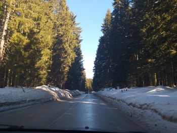 Road amidst trees against sky